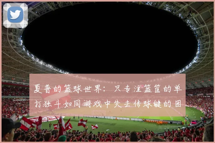 夏普的篮球世界：只专注篮筐的单打独斗如同游戏中失去传球键的困境