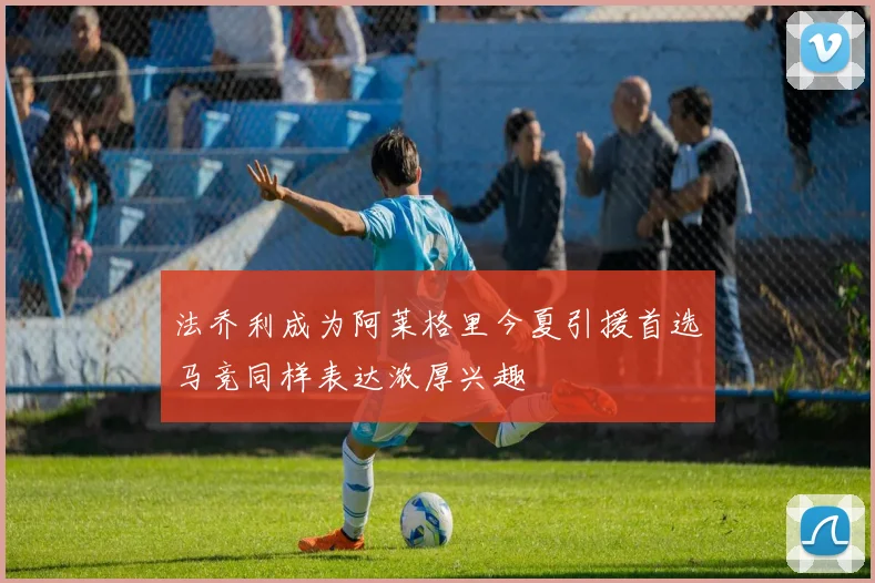 法乔利成为阿莱格里今夏引援首选马竞同样表达浓厚兴趣